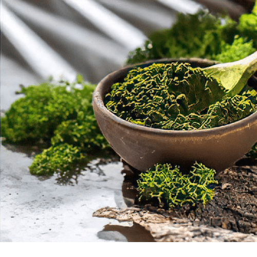 Organic Chlorella: The Superfood for Detox, Immune Support, and Energy - Mysuperfoodrx