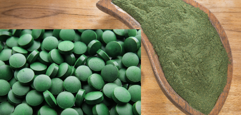 Chlorella food supplement for balanced nutrition