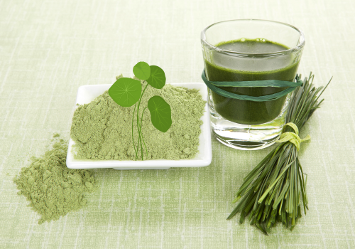 Chlorella food supplement for recovery