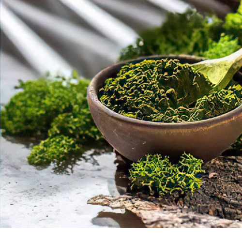 a bowl filled with green plants next to a pile of dirt