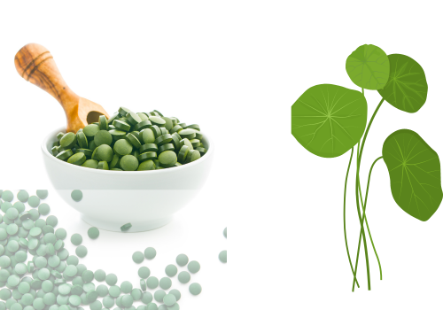 Chlorella food supplement for sports performance