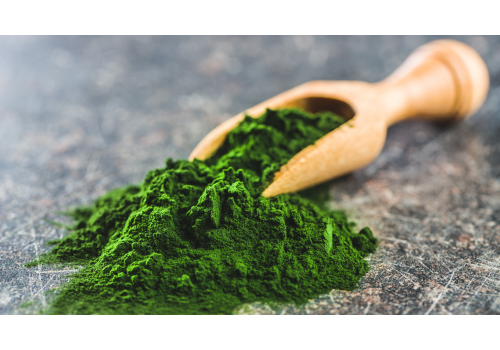 Chlorella food supplement for kidney health