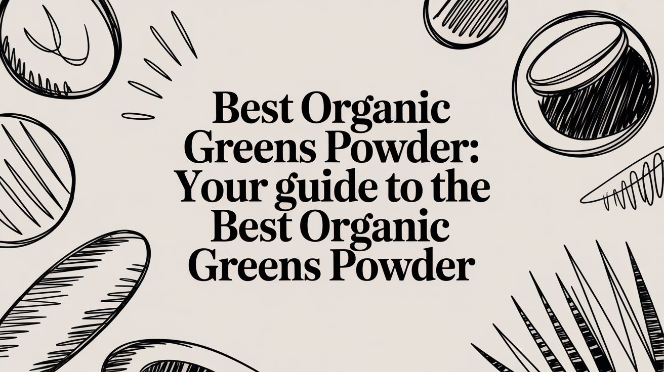 Best Organic Greens Powder: Your Guide to the best organic greens powder - Mysuperfoodrx