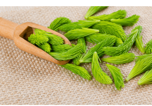 Chlorella food supplement for brain health - Mysuperfoodrx