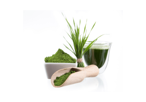 Chlorella food supplement for cardiovascular health - Mysuperfoodrx