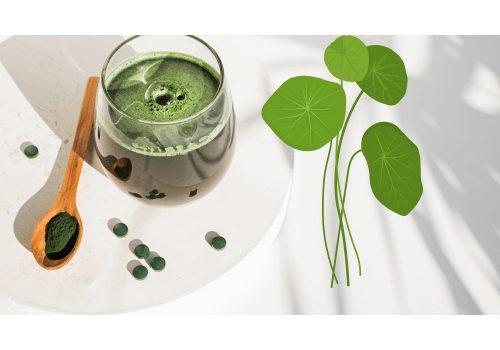 Chlorella food supplement for endurance - Mysuperfoodrx