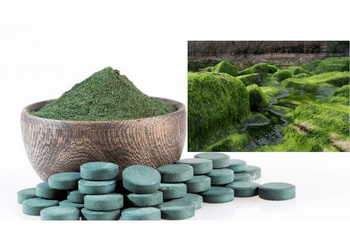 Chlorella food supplement for energy boost - Mysuperfoodrx