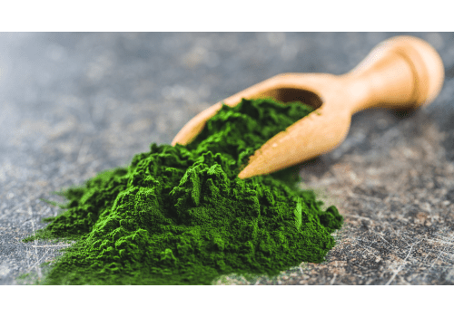 Chlorella food supplement for kidney health - Mysuperfoodrx