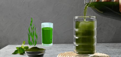 Chlorella food supplement for overall wellness - Mysuperfoodrx