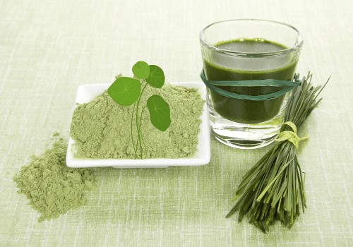 Chlorella food supplement for recovery - Mysuperfoodrx