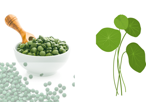 Chlorella food supplement for sports performance - Mysuperfoodrx