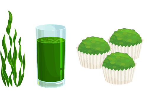 Chlorella food supplement for vitality - Mysuperfoodrx