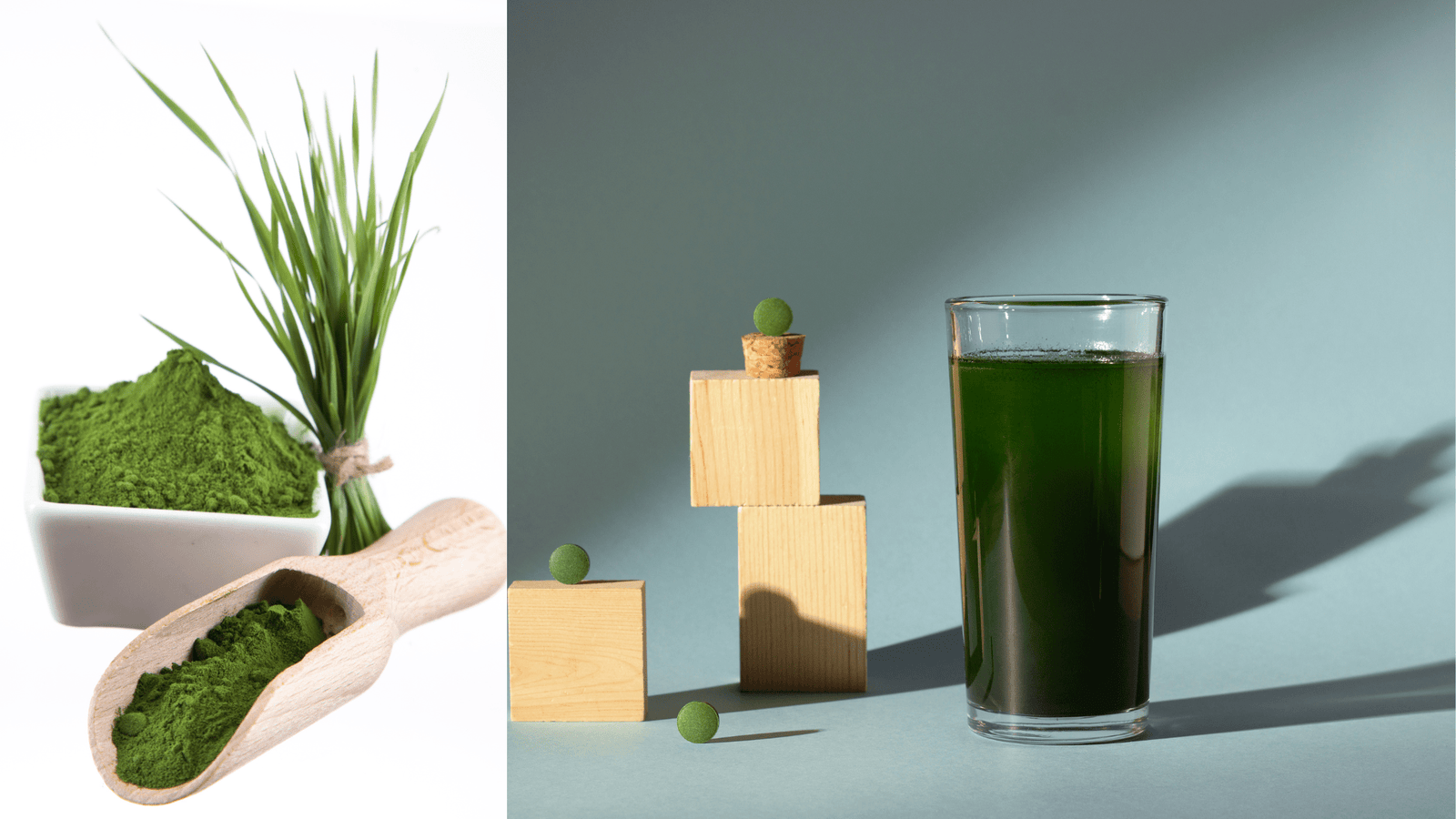 Chlorella: The Ultimate Superfood? - Mysuperfoodrx