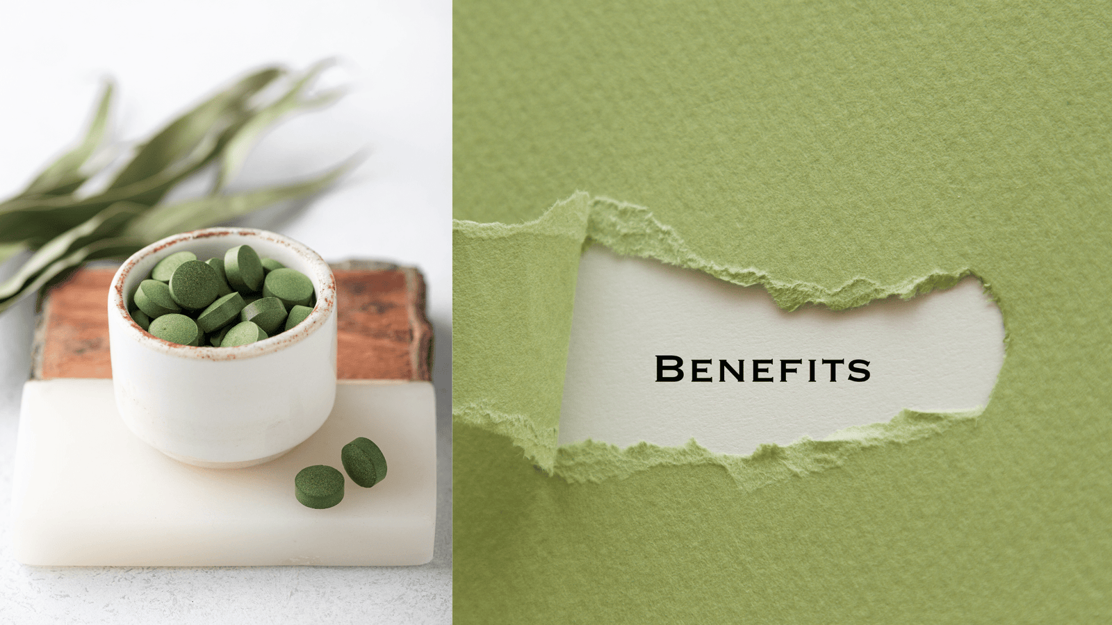 Discover the Top 10 Wow-Worthy Health Benefits of Chlorella! - Mysuperfoodrx