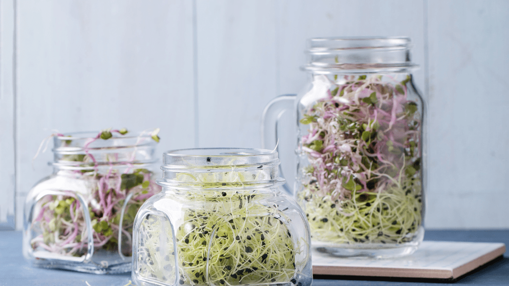 How to Eat More High-Fiber Vegetables on a Plant-Based Diet - Mysuperfoodrx