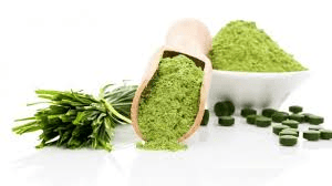 Chlorella food supplement for digestion