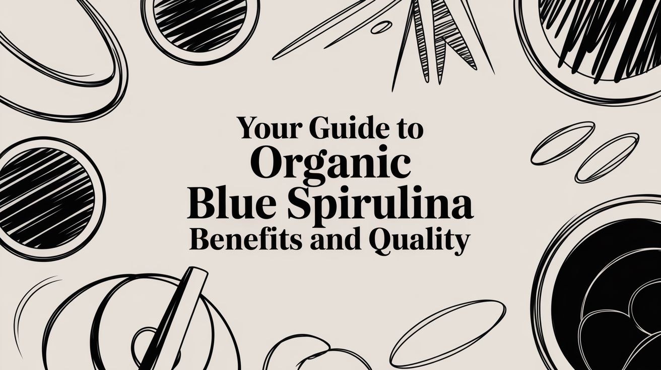 Your Guide to Organic Blue Spirulina Benefits and Quality
