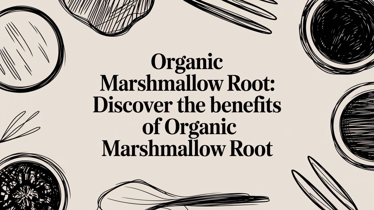 Organic Marshmallow Root: Discover the benefits of organic marshmallow root - Mysuperfoodrx