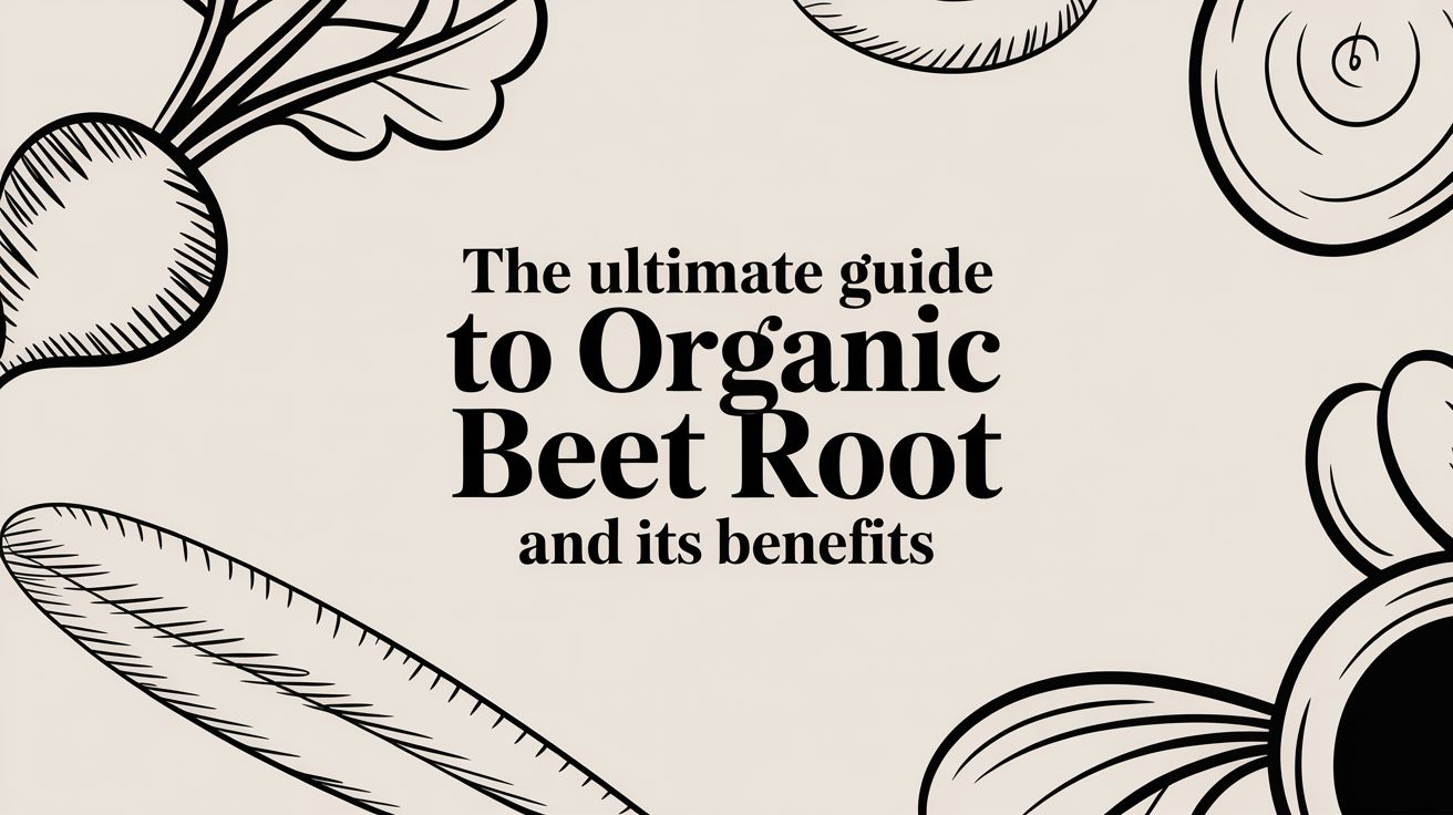 The Ultimate Guide to Organic Beet Root and Its Benefits - Mysuperfoodrx