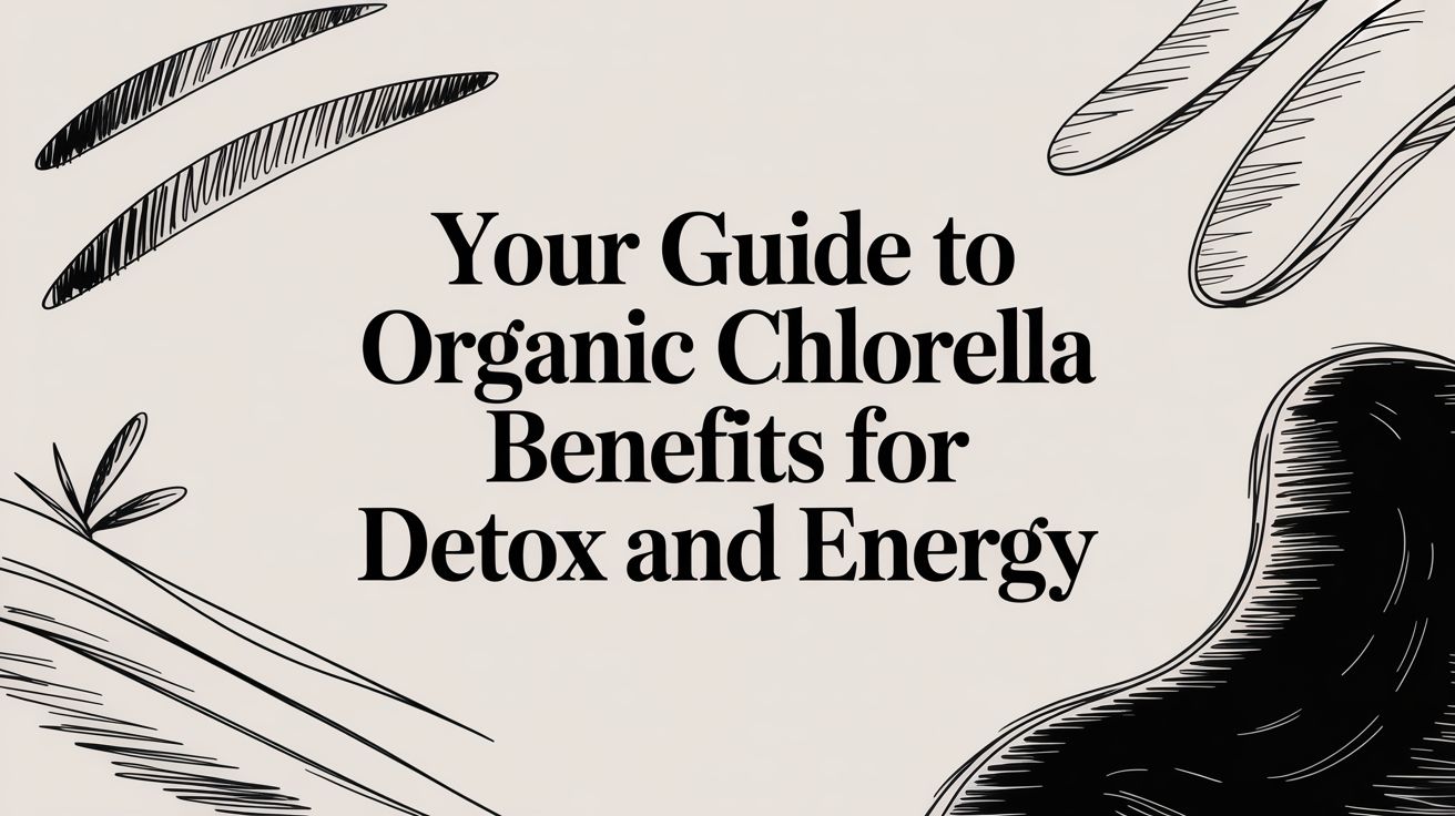 Your Guide to Organic Chlorella Benefits for Detox and Energy - Mysuperfoodrx