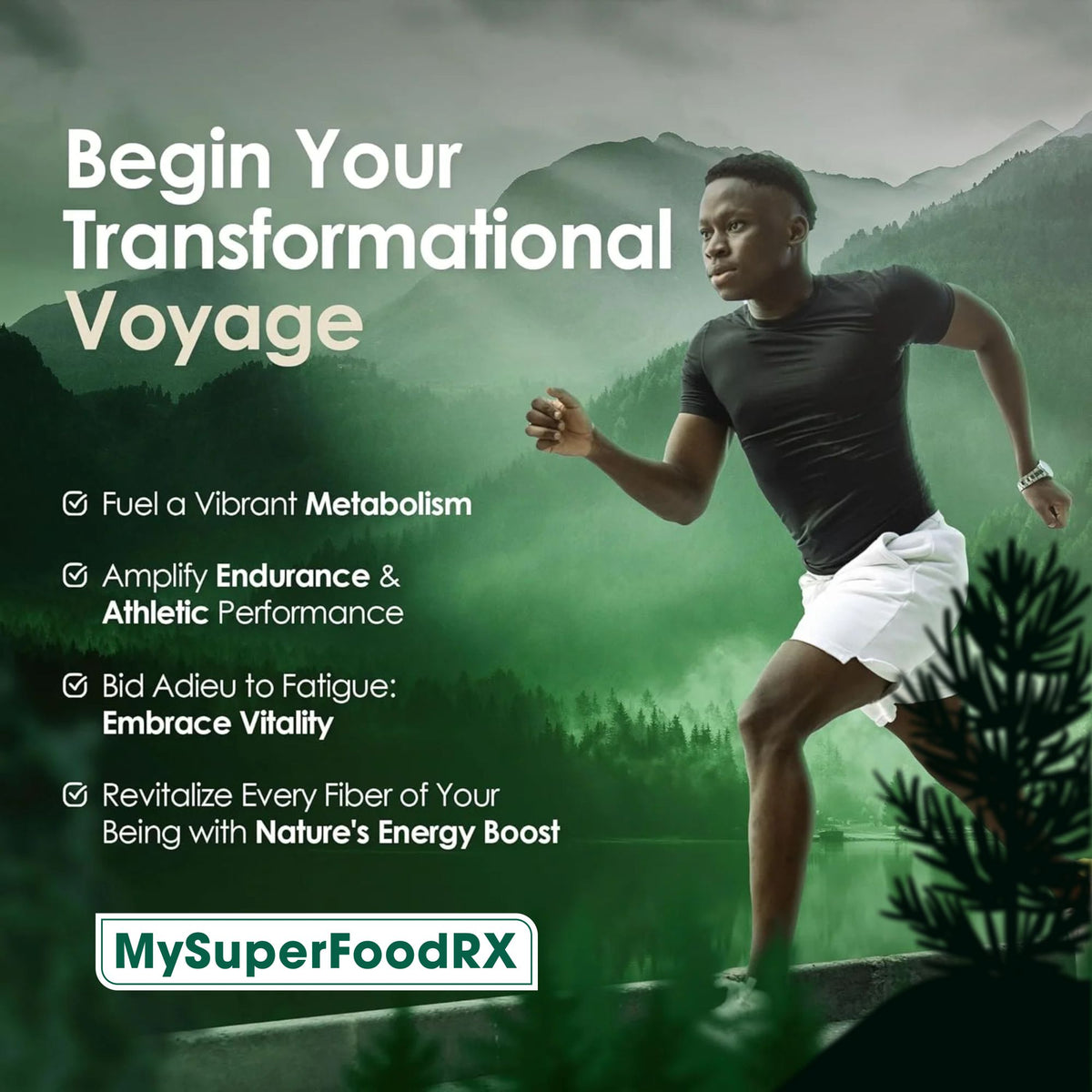 MySuperFoodRX Himalayan Shilajit Capsules